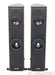 Sonus Faber Liuto Floorstanding Speakers; Smoked Oak Pair