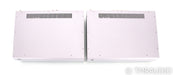 PS Audio M1200 Mono Tube Hybrid Power Amplifier; Silver Pair; M-1200 (Used)