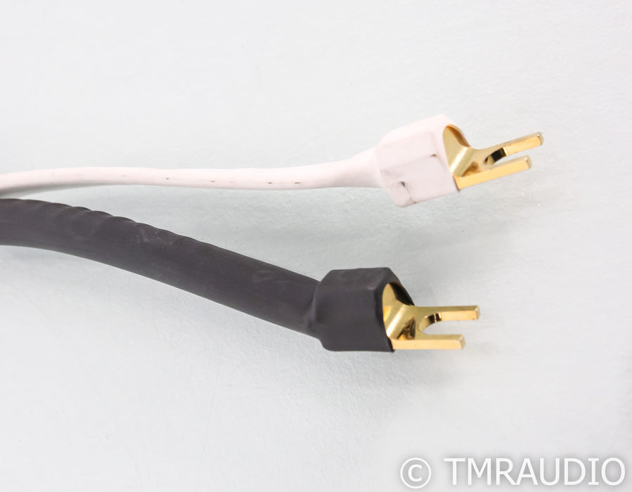 Analysis Plus Big Silver Oval Speaker Cables; 6ft Pair