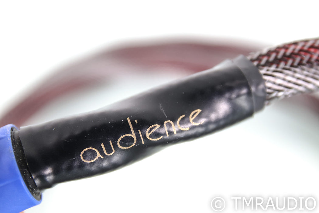 Audience Studio ONE powerChord Power Cable; 1.5m AC Cord; Speakon