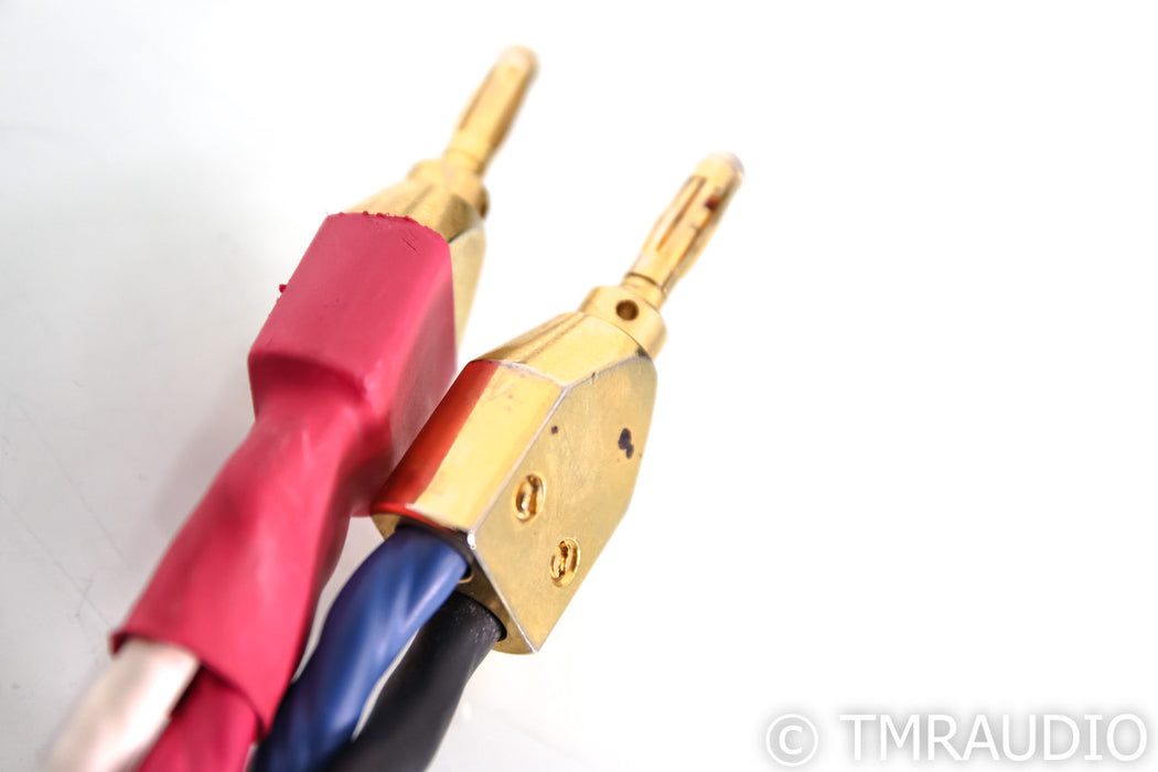 Tara Labs RSC Prime 1000 Bi-Wire Speaker Cables; 10ft Pair