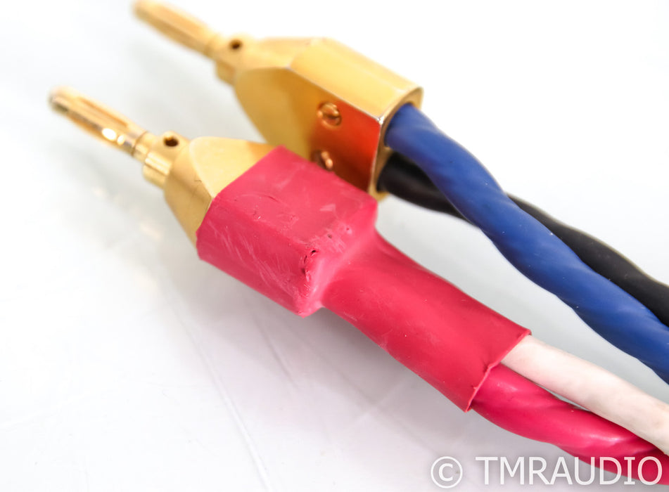Tara Labs RSC Prime 1000 Bi-Wire Speaker Cables; 10ft Pair