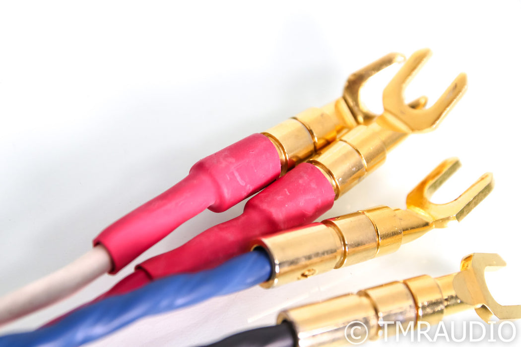Tara Labs RSC Prime 1000 Bi-Wire Speaker Cables; 10ft Pair