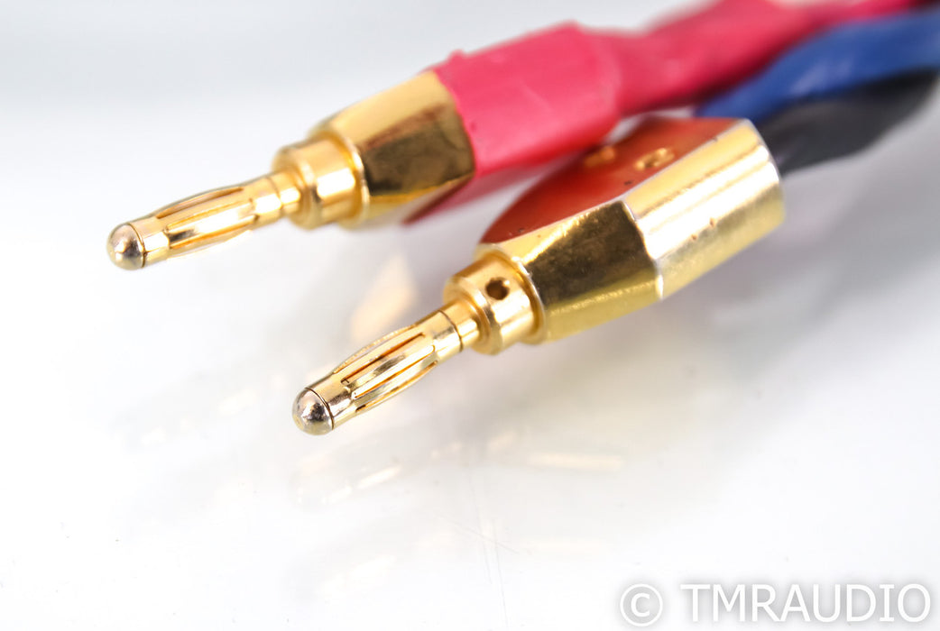 Tara Labs RSC Prime 1000 Bi-Wire Speaker Cables; 10ft Pair