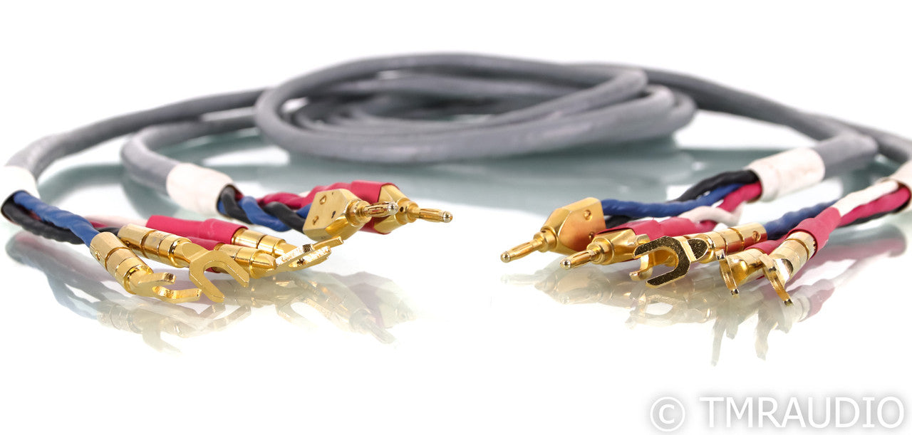 Tara Labs RSC Prime 1000 Bi-Wire Speaker Cables; 10ft Pair