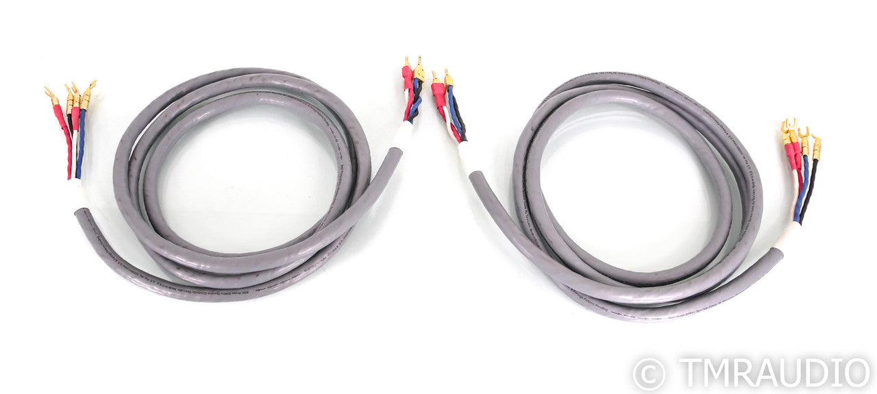Tara Labs RSC Prime 1000 Bi-Wire Speaker Cables; 10ft Pair