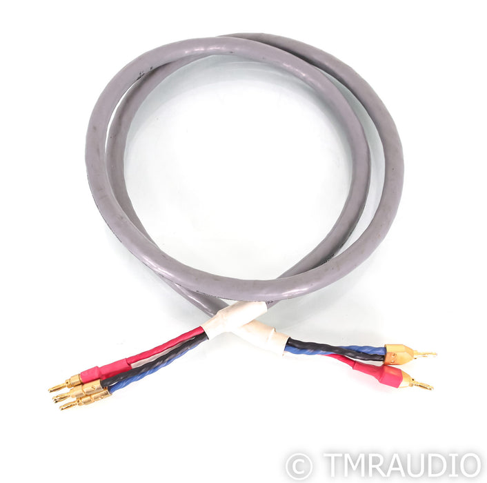 Tara Labs RSC Prime 1000 Bi-Wire Speaker Cable; 6ft; Single