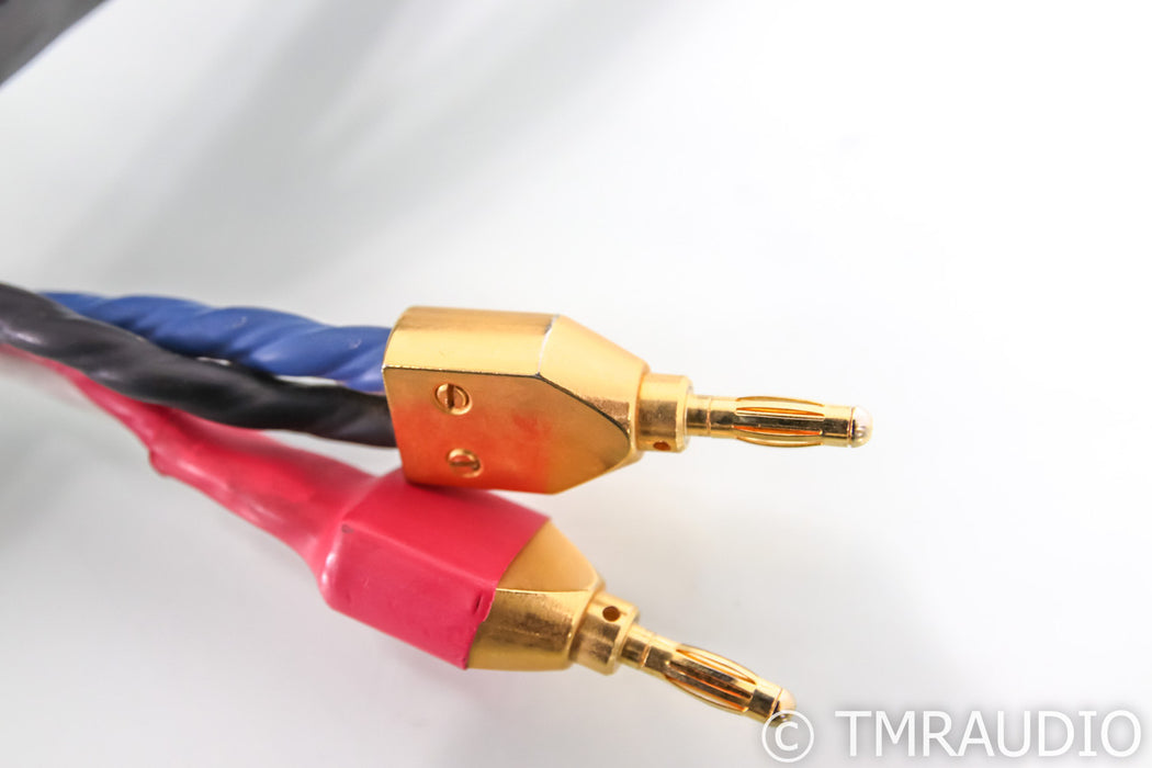 Tara Labs RSC Prime 1000 Bi-Wire Speaker Cable; 6ft; Single
