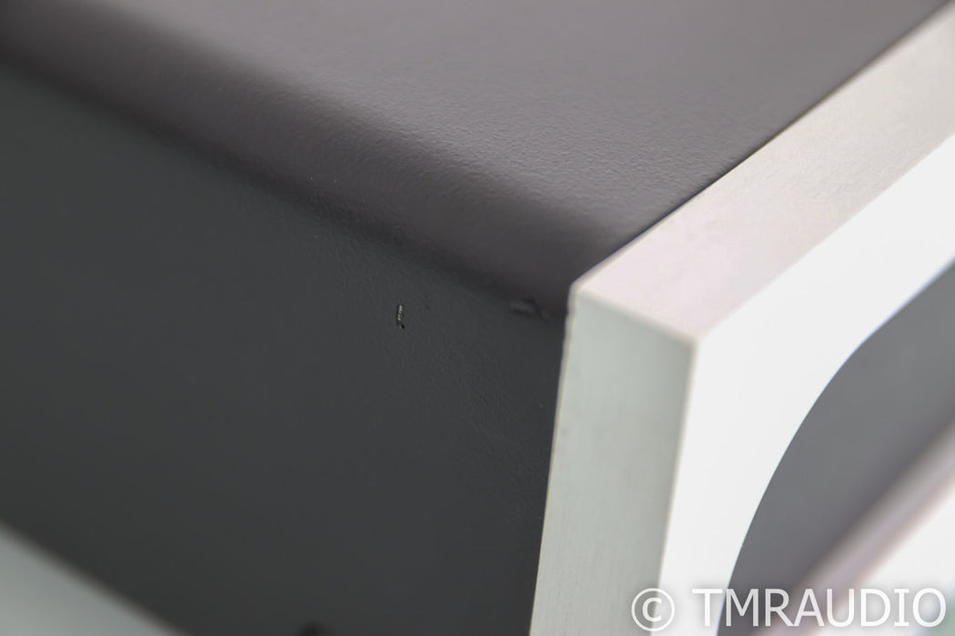Bel Canto e.One M300 Mono Power Amplifier; Silver (Single Amplifier)