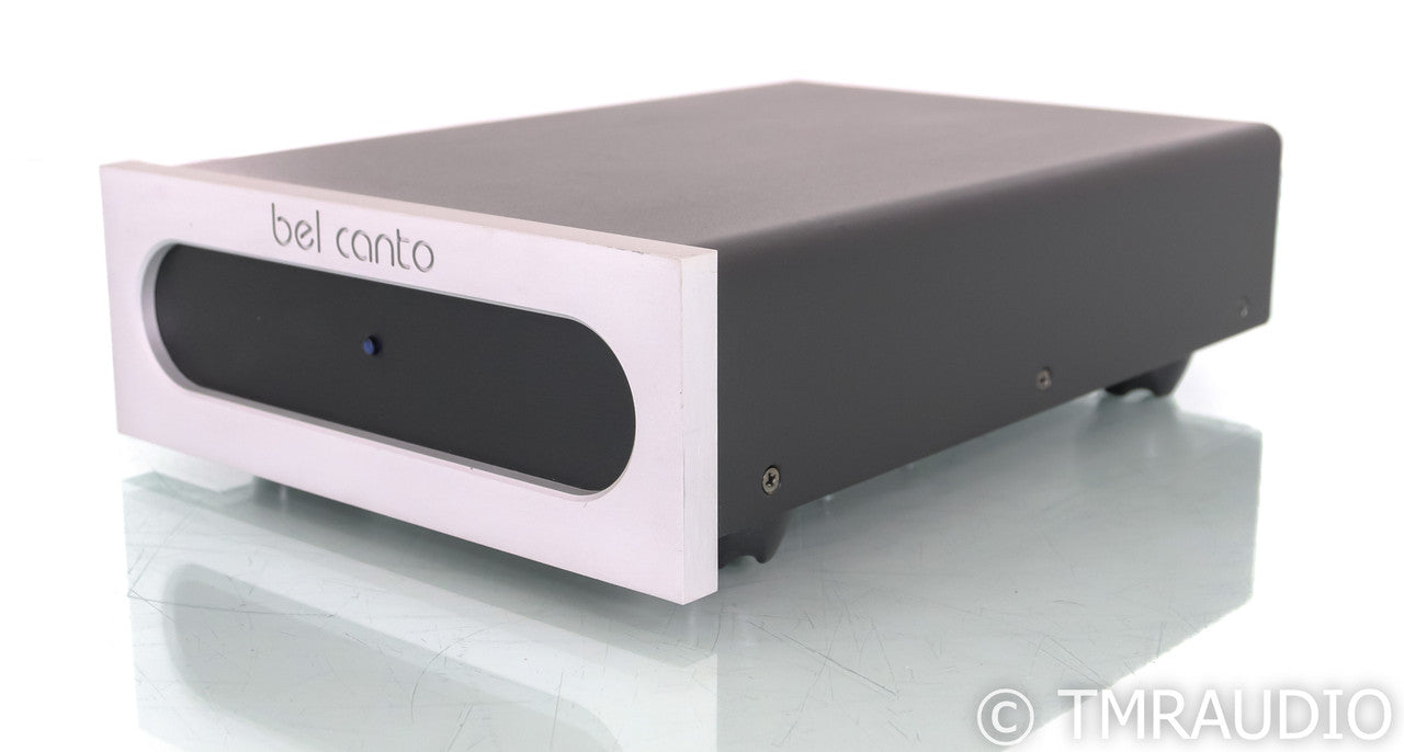 Bel Canto e.One M300 Mono Power Amplifier; Silver (Single Amplifier)