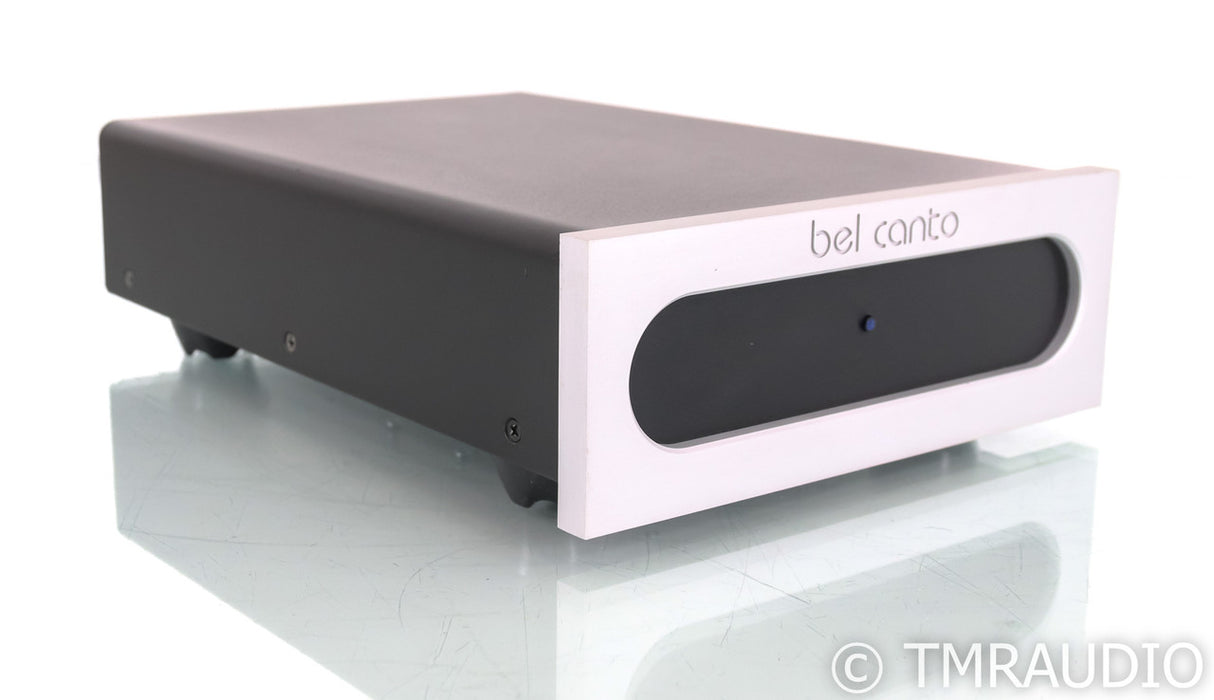 Bel Canto e.One M300 Mono Power Amplifier; Silver (Single Amplifier)