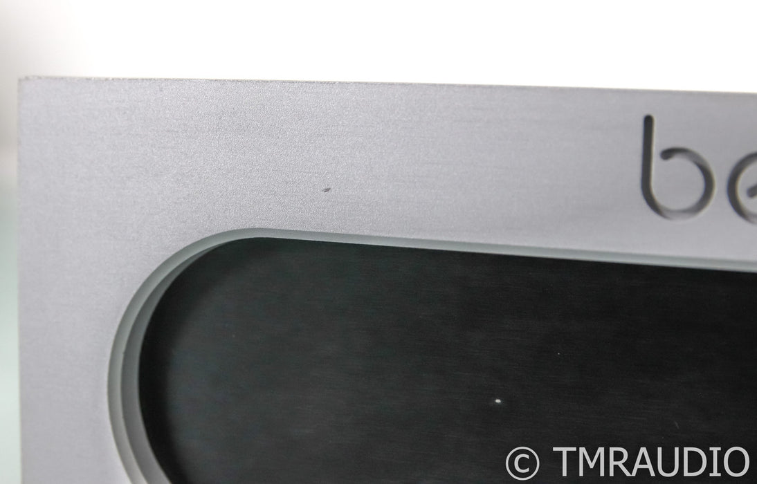 Bel Canto e.One M300 Mono Power Amplifier; Silver (Single Amplifier)