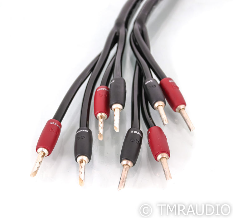 AudioQuest Rocket 33 Bi-Wire Speaker Cables; 10ft Pair
