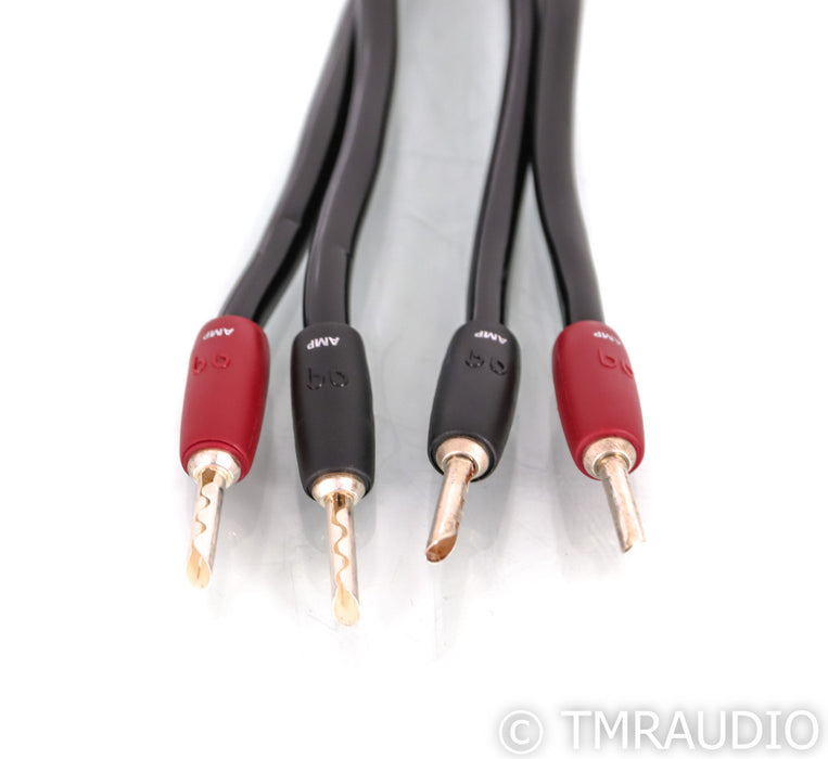 AudioQuest Rocket 33 Bi-Wire Speaker Cables; 10ft Pair