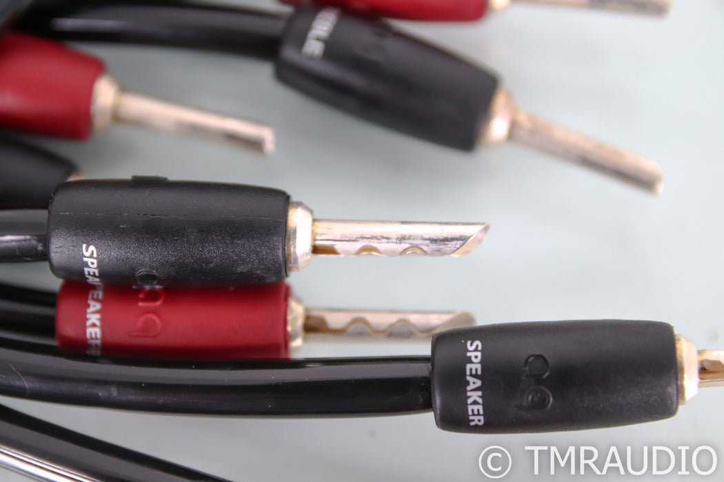 AudioQuest Rocket 33 Bi-Wire Speaker Cables; 10ft Pair