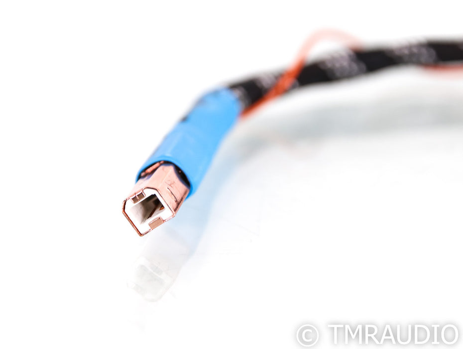 Curious Cables Evolved Regen Link USB Cable; 8in Digital Interconnect