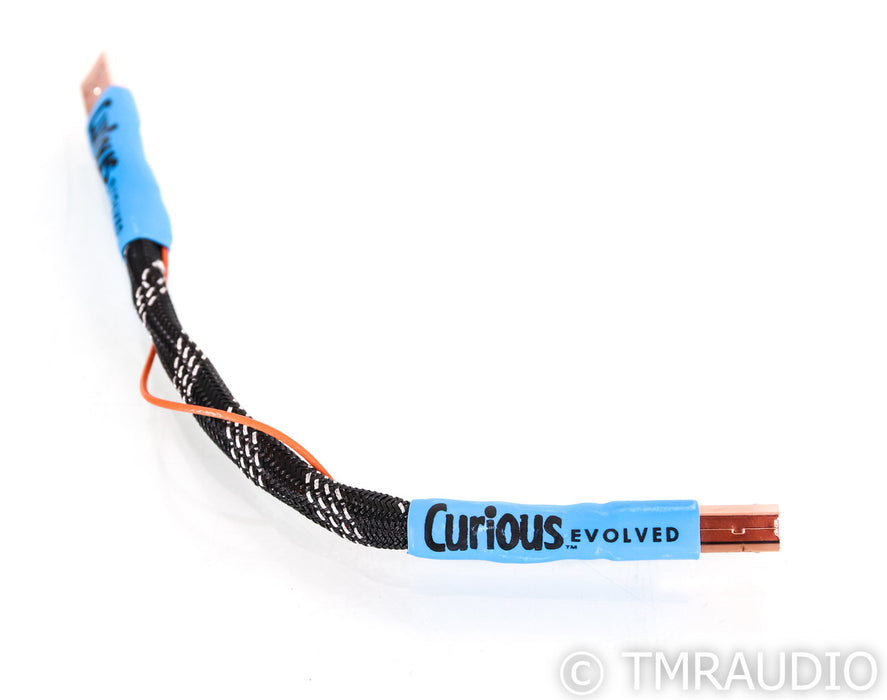 Curious Cables Evolved Regen Link USB Cable; 8in Digital Interconnect