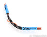 Curious Cables Evolved Regen Link USB Cable; 8in Digital Interconnect