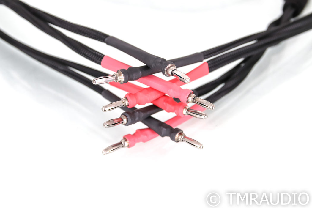 Clear Day Double Shotgun Full Range Speaker Cables; 10ft Pair