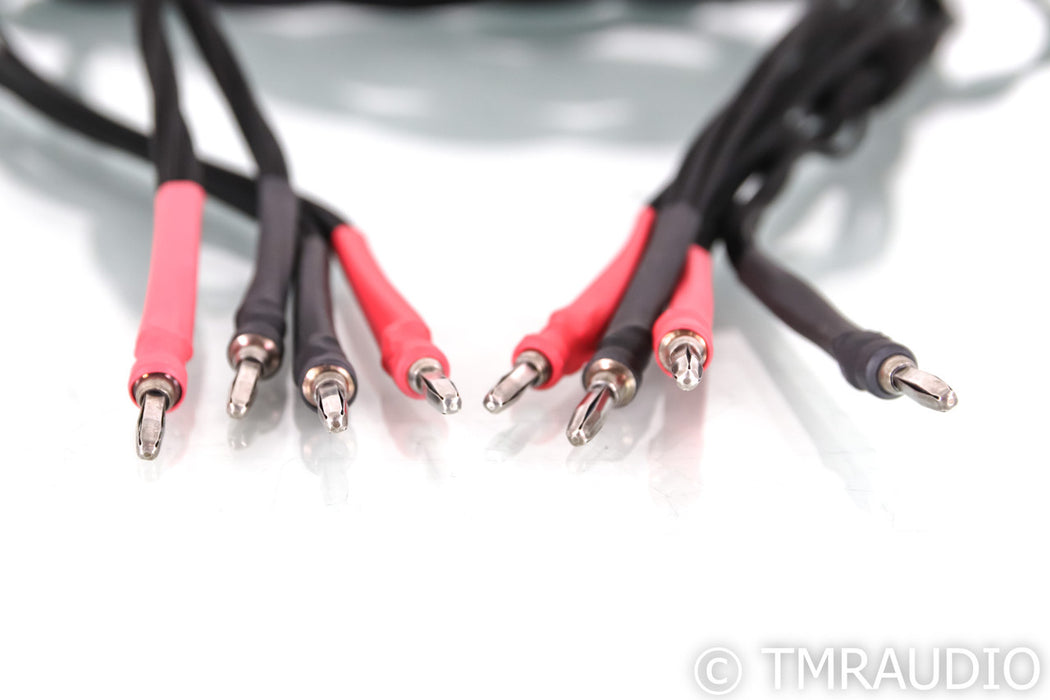 Clear Day Double Shotgun Full Range Speaker Cables; 10ft Pair