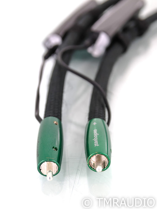 AudioQuest Earth RCA Cables; 1m Pair; 72v DBS
