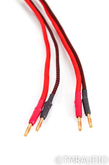 Black Cat Cable 3232 Speaker Cables; 5ft Pair