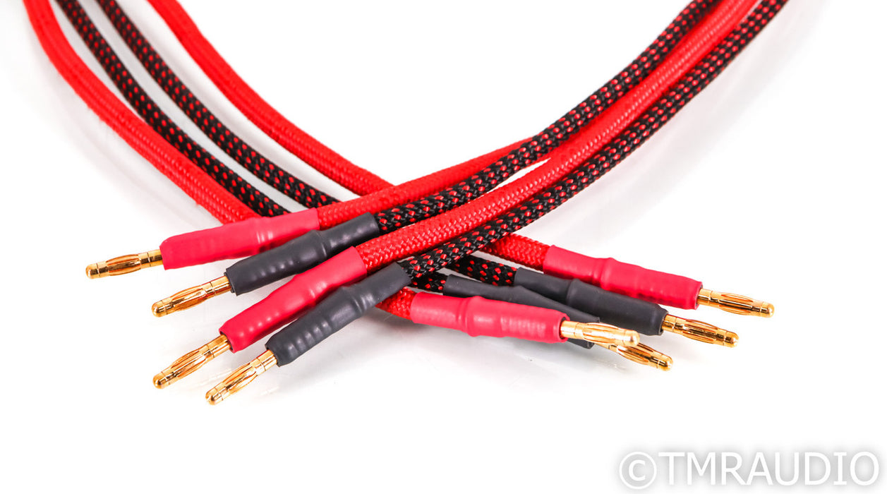 Black Cat Cable 3232 Speaker Cables; 5ft Pair