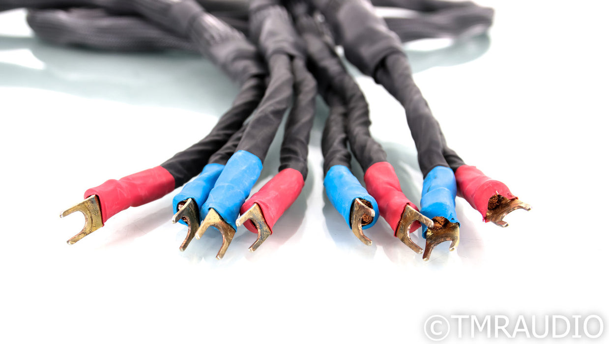 Kubala-Sosna Elation Speaker Cables; 3.5m Pair
