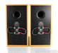 Ryan R610 Bookshelf Speakers; Clear Oak Pair; R-610