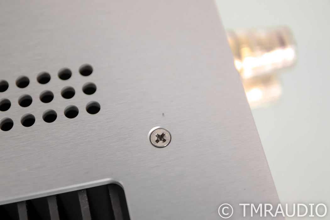 Schiit Audio Aegir Stereo Power Amplifier; Silver