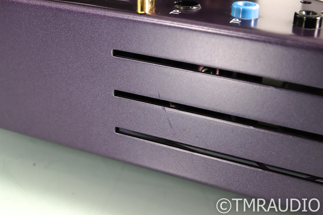Wytech Labs Sapphire 300B Mono Power Amplifier; Pair; Purple