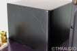 Wytech Labs Sapphire 300B Mono Power Amplifier; Pair; Purple