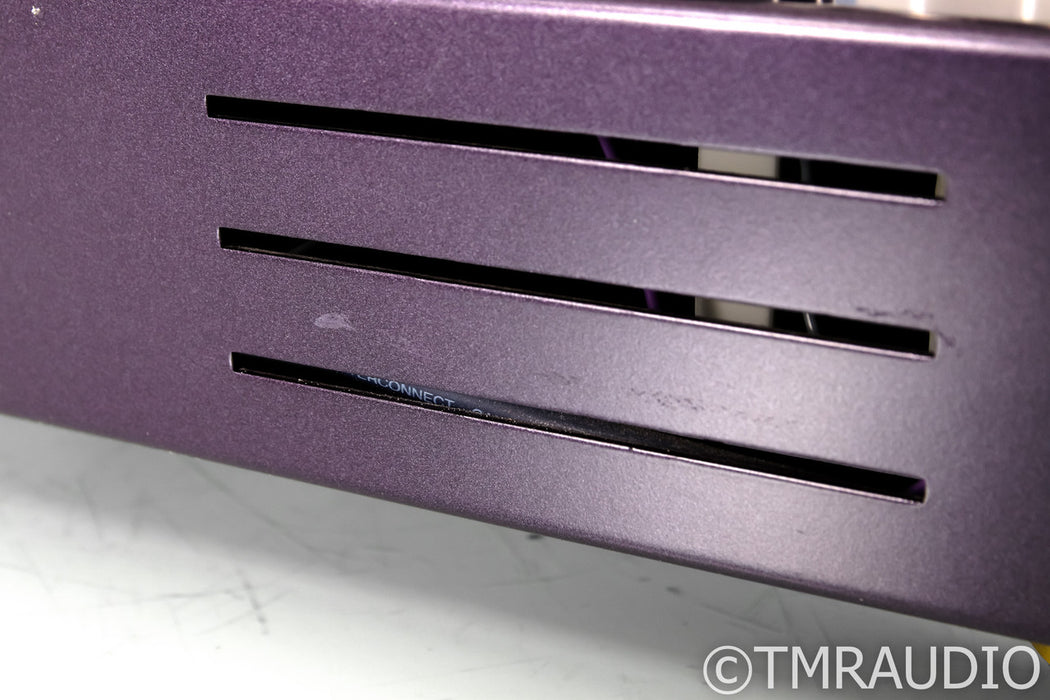 Wytech Labs Sapphire 300B Mono Power Amplifier; Pair; Purple