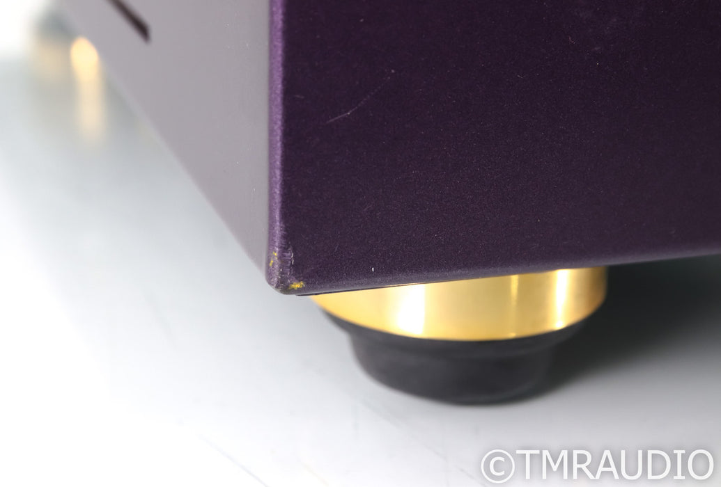 Wytech Labs Sapphire 300B Mono Power Amplifier; Pair; Purple