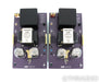 Wytech Labs Sapphire 300B Mono Power Amplifier; Pair; Purple