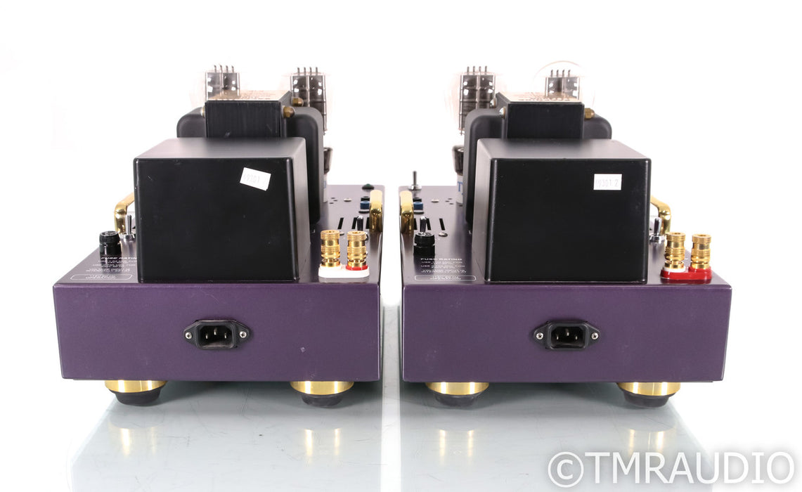 Wytech Labs Sapphire 300B Mono Power Amplifier; Pair; Purple