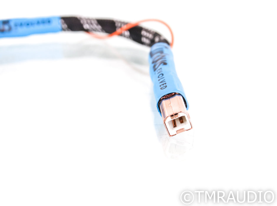 Curious Cables Evolved Regen Link USB Cable; 8" Digital Interconnect