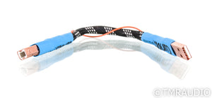 Curious Cables Evolved Regen Link USB Cable; 8" Digital Interconnect
