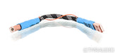 Curious Cables Evolved Regen Link USB Cable; 8" Digital Interconnect
