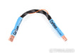 Curious Cables Evolved Regen Link USB Cable; 8" Digital Interconnect