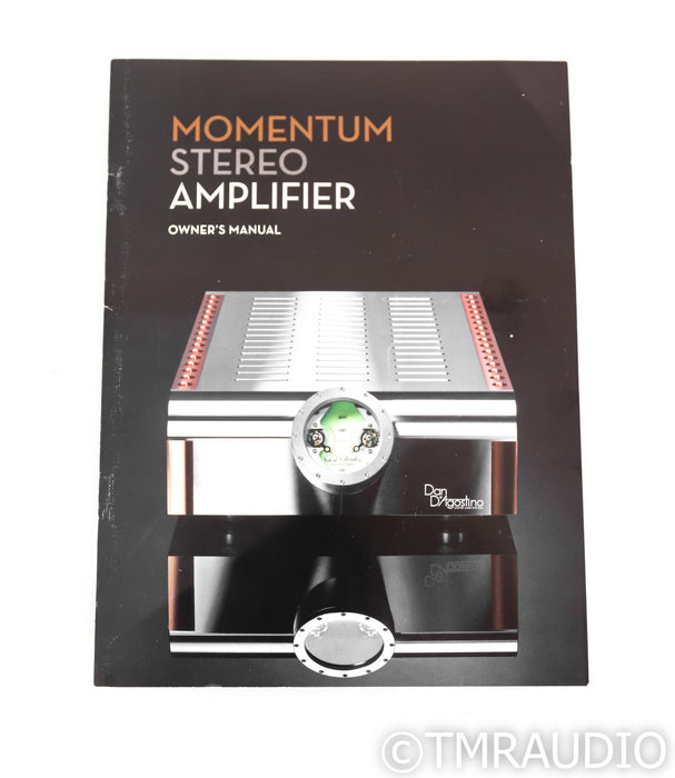 Dan D'Agostino Momentum S200 Stereo Power Amplifier; S-200
