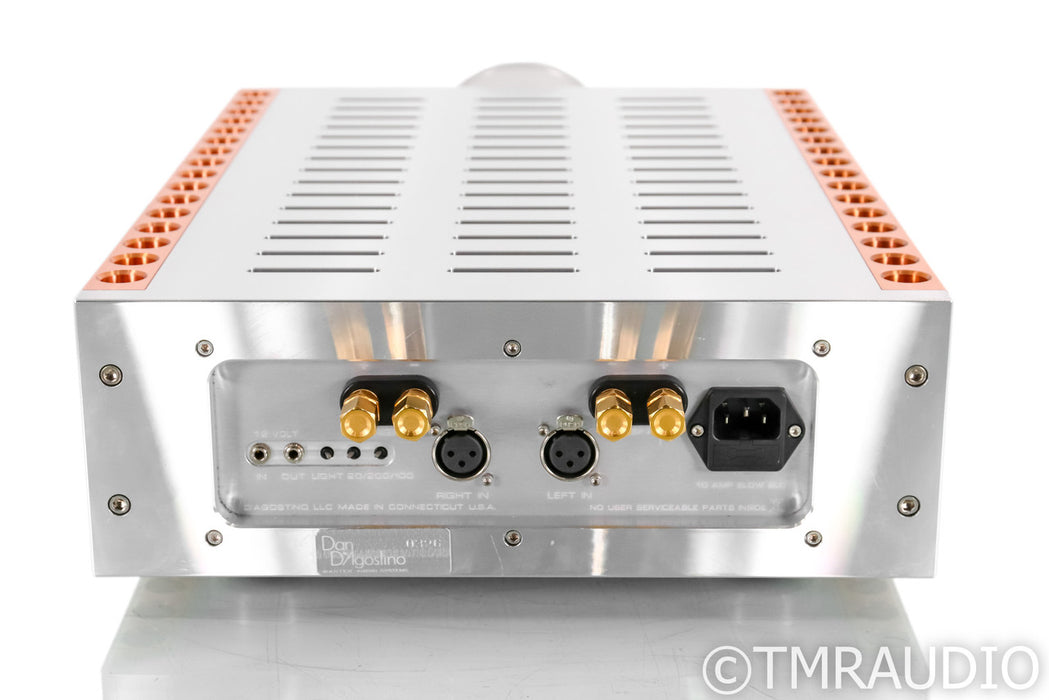 Dan D'Agostino Momentum S200 Stereo Power Amplifier; S-200
