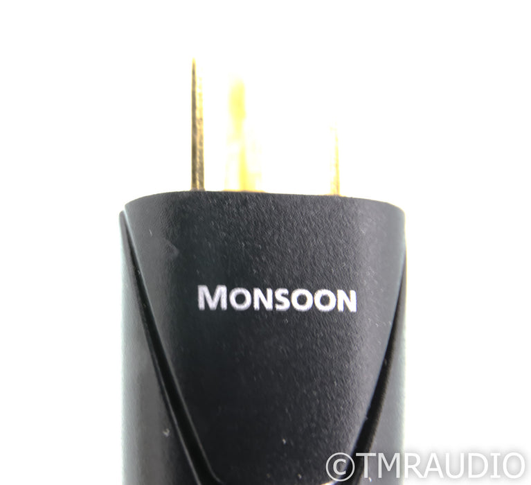AudioQuest Monsoon Power Cable; 1m AC Cord; C13