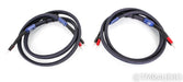 AudioQuest ThunderBird ZERO Speaker Cables; 8ft Pair; 72v DBS