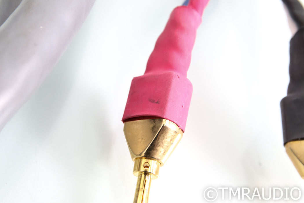 Tara Labs RSC Prime Speaker Cable; 12ft Pair