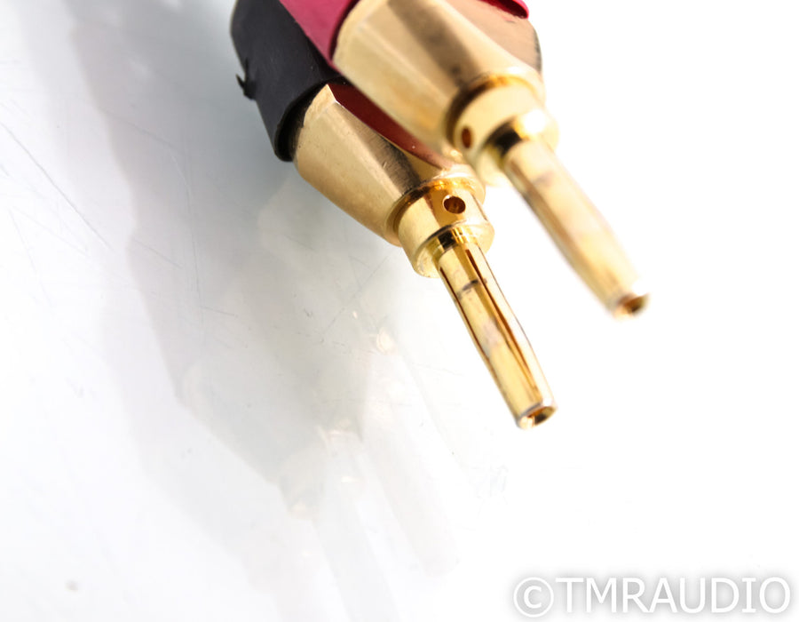 Tara Labs RSC Prime Speaker Cable; 12ft Pair