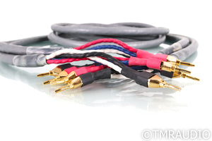 Tara Labs RSC Prime Speaker Cable; 12ft Pair