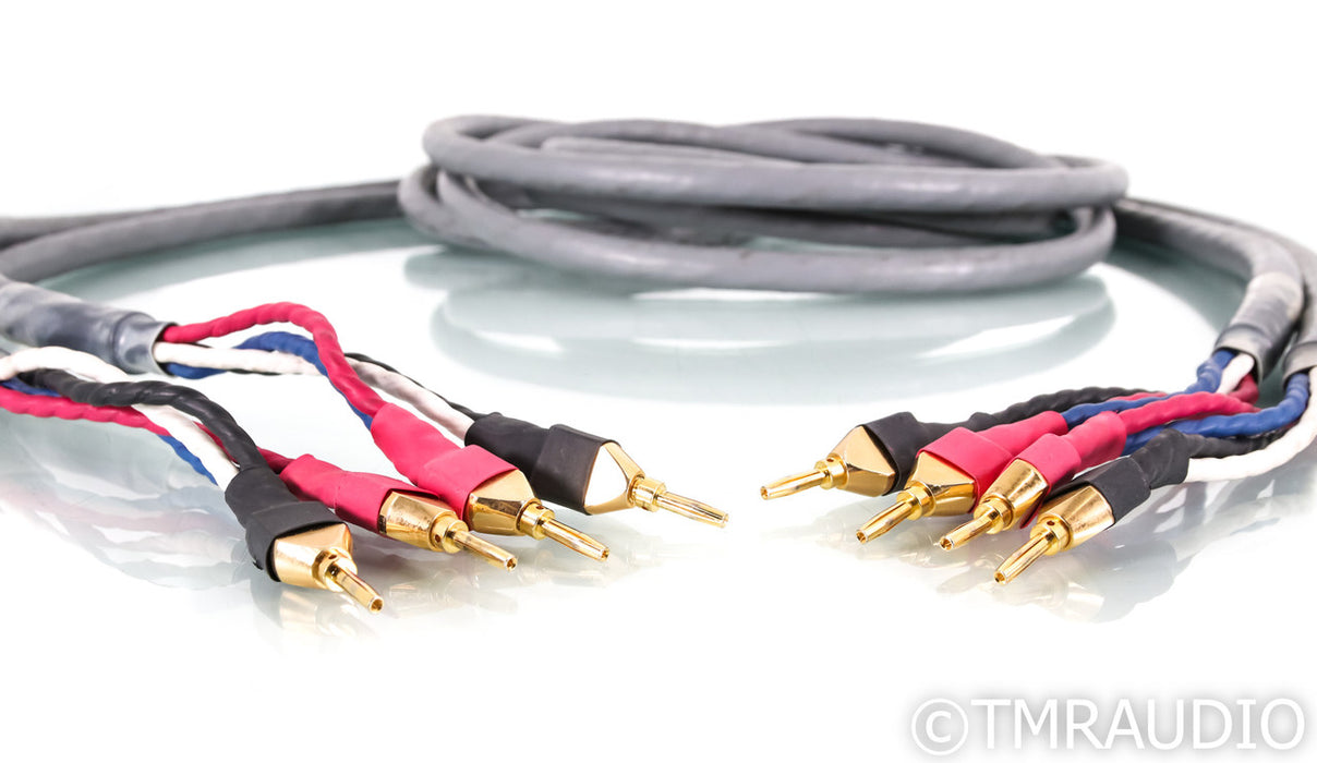 Tara Labs RSC Prime Speaker Cable; 12ft Pair