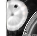 REL S/812 12" Powered Subwoofer; Gloss Black