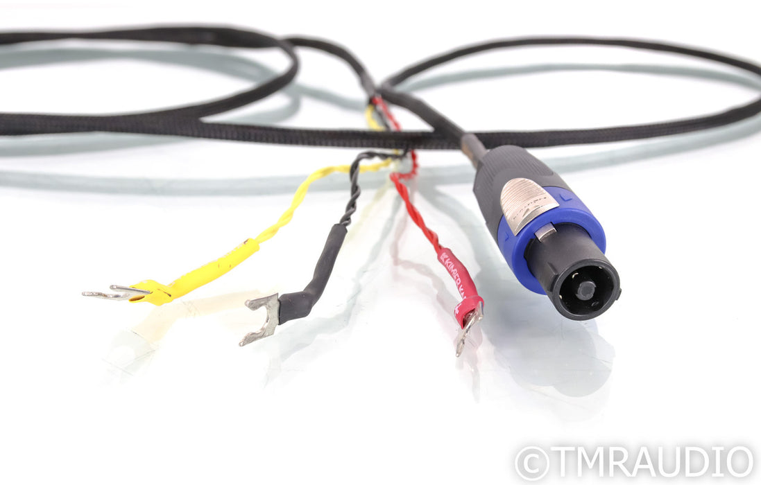 Kimber Kable REL-CU Speakon Subwoofer Cable; For REL Subwoofers; 3m